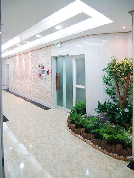 Open House Apgujeong-rodeo ,cony 2*